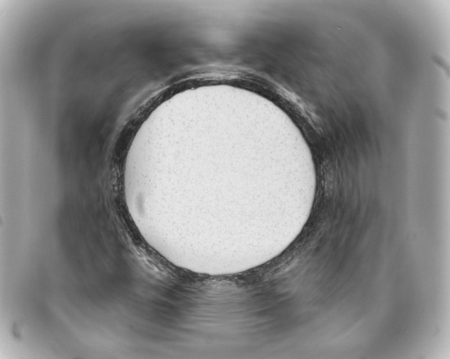 X0000093361448200711081504