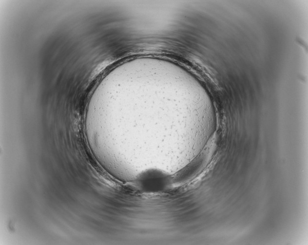 X0000093361449200711081504