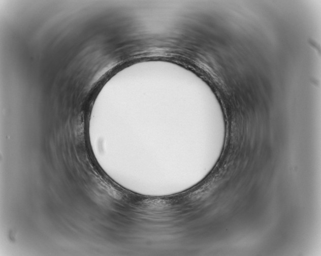 X0000093361450200711081504
