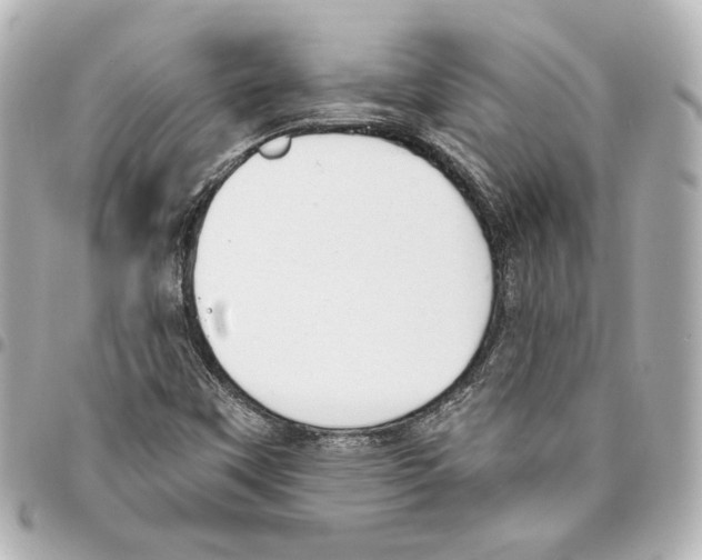 X0000093361451200711081504