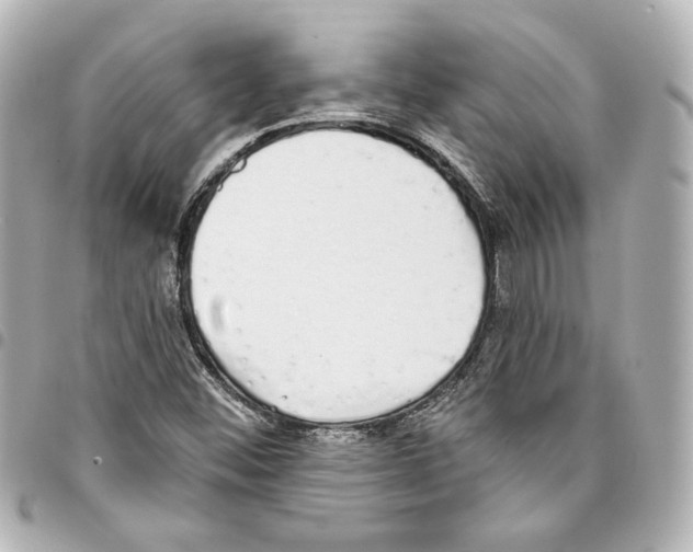 X0000093361452200711081504