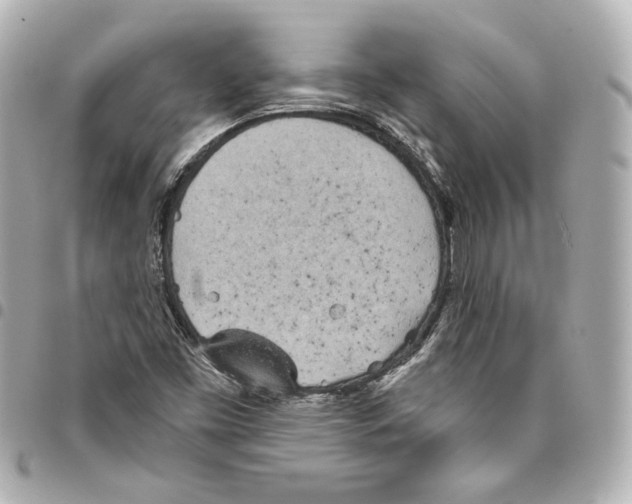 X0000093361453200711081504