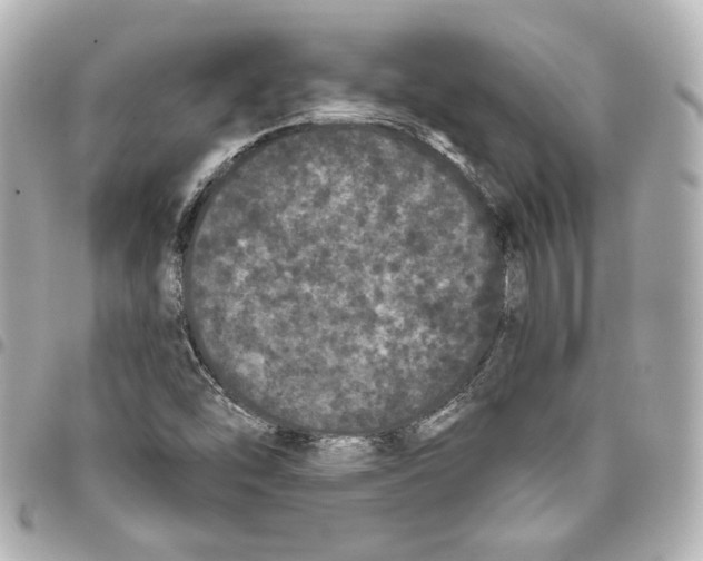 X0000093361454200711081504