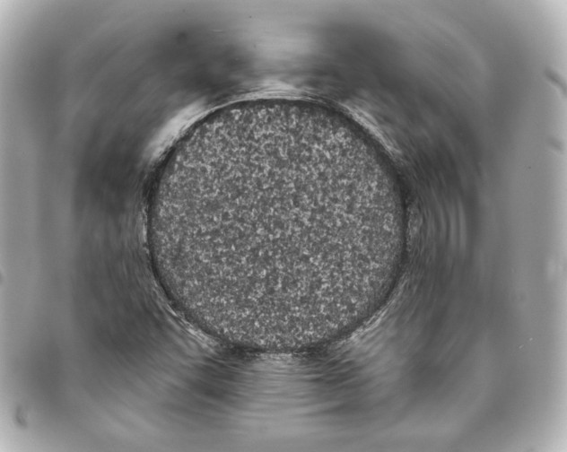 X0000093361455200711081504