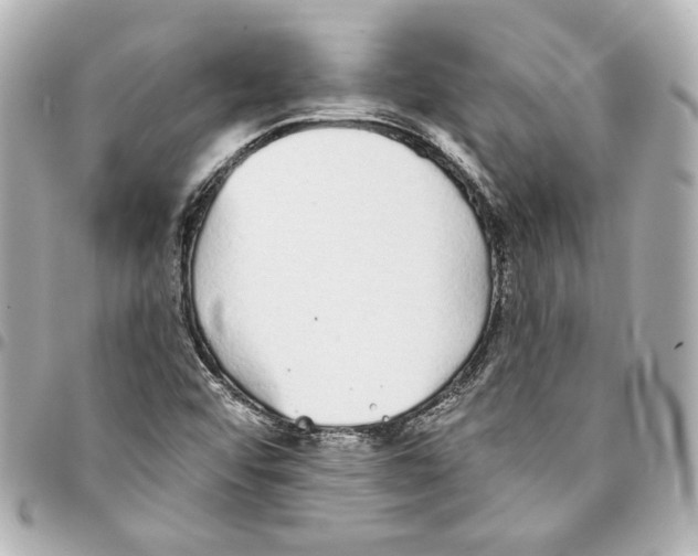 X0000093361456200711081504