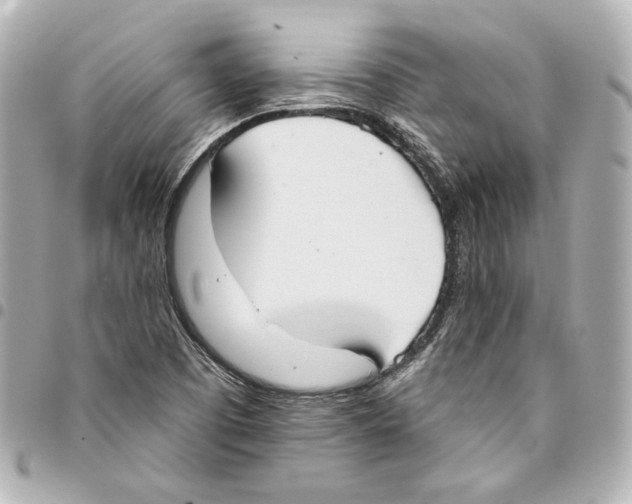 X0000093361457200711081504