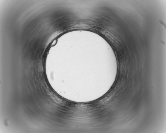 X0000093361458200711081504