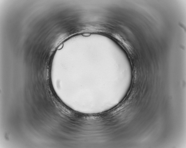 X0000093361459200711081504