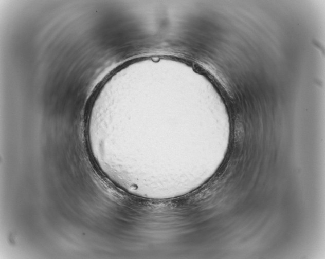 X0000093361460200711081504