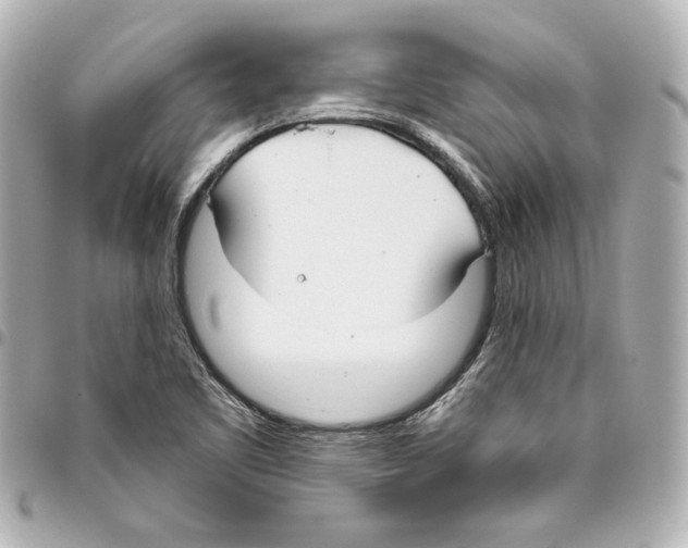 X0000093361461200711081504