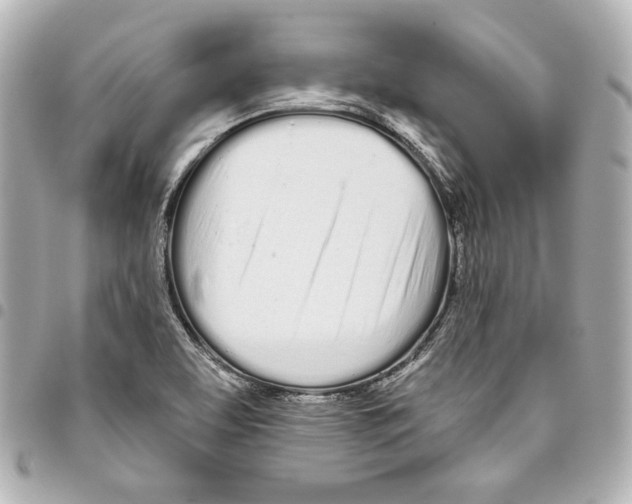 X0000093361463200711081504