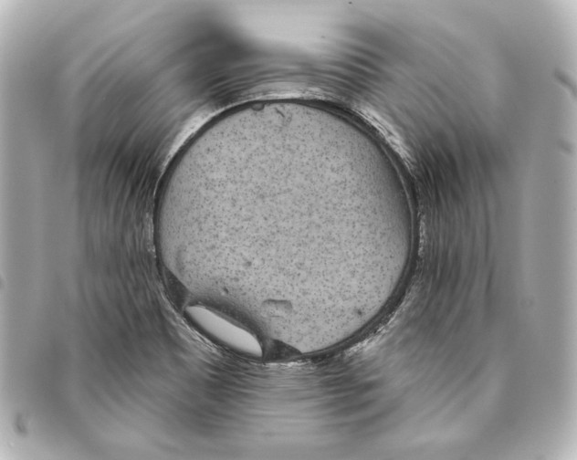 X0000093361465200711081504