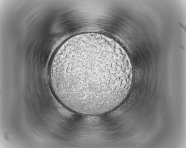 X0000093361466200711081504