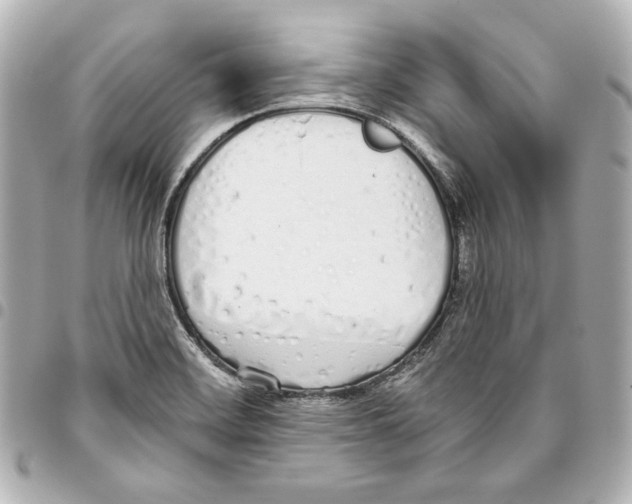 X0000093361468200711081504