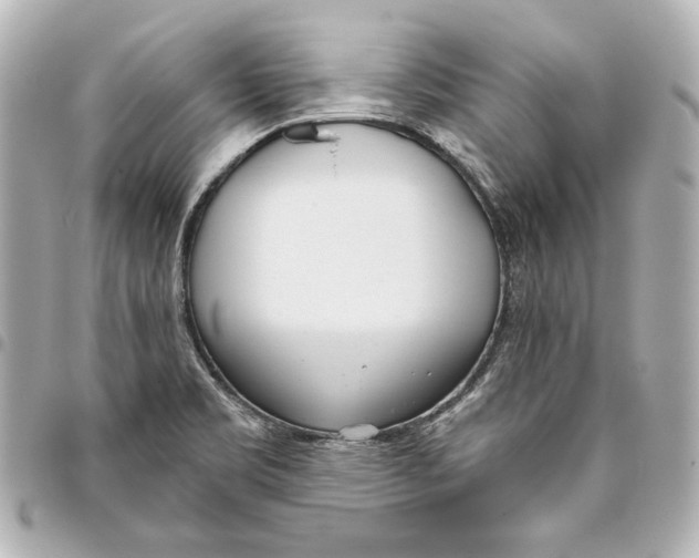 X0000093361469200711081504