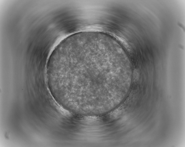 X0000093361470200711081504