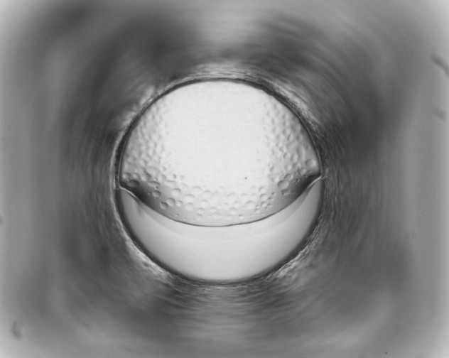 X0000093361471200711081504
