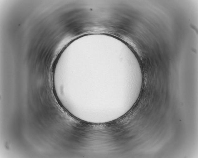 X0000093361472200711081504