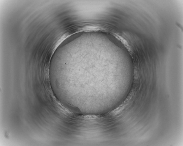 X0000093361473200711081504