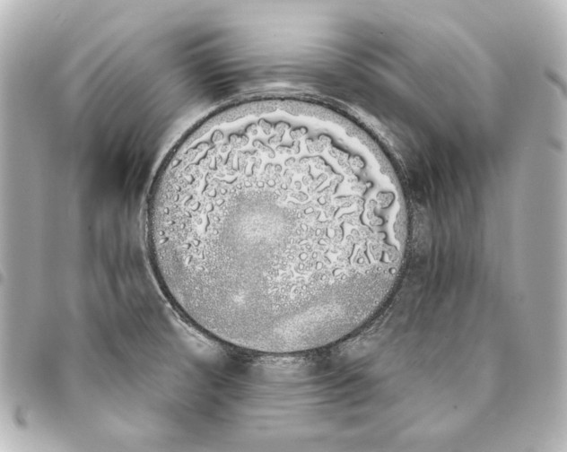 X0000093361474200711081504