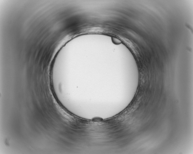 X0000093361475200711081504