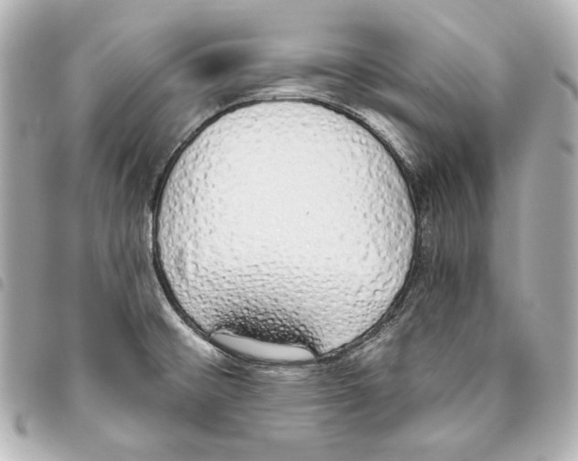 X0000093361476200711081504