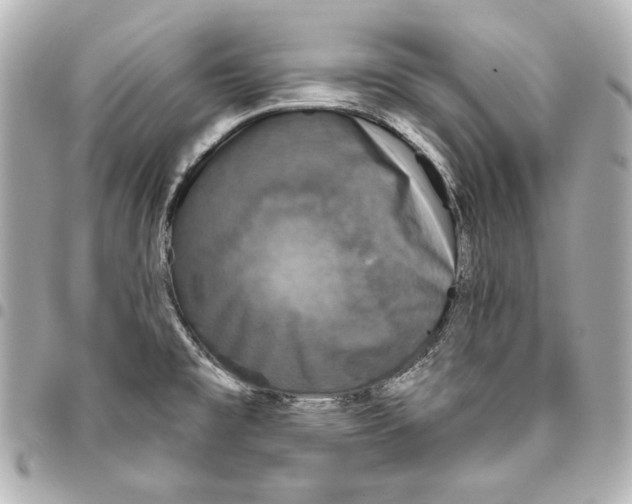 X0000093361477200711081504