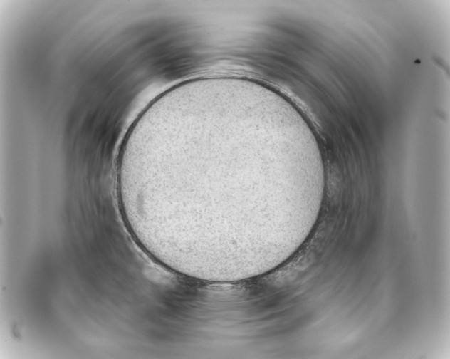 X0000093361478200711081504