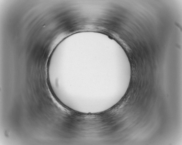 X0000093361479200711081504