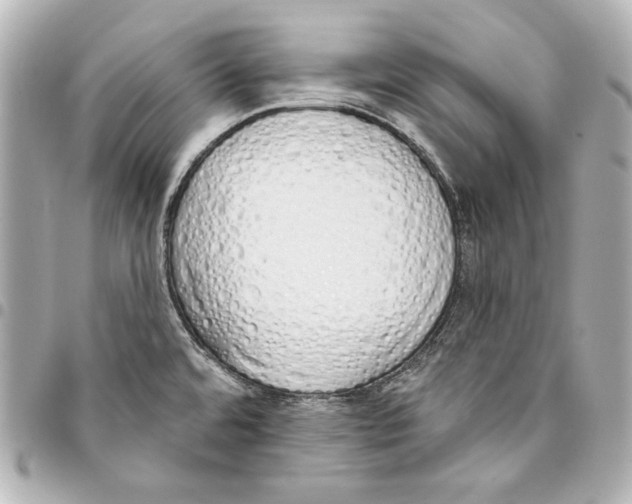 X0000093361480200711081504