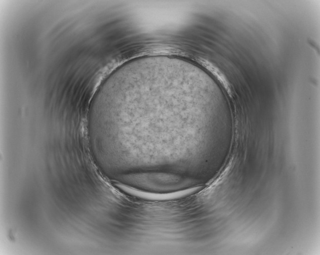 X0000093361481200711081504