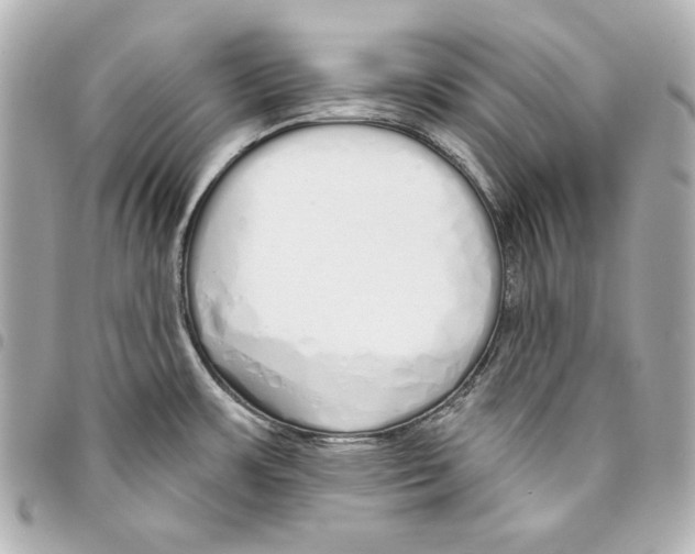 X0000093361483200711081504