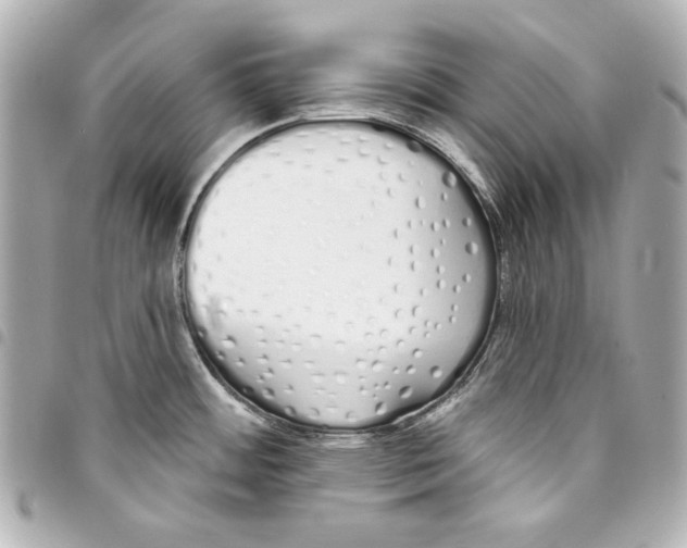 X0000093361484200711081504
