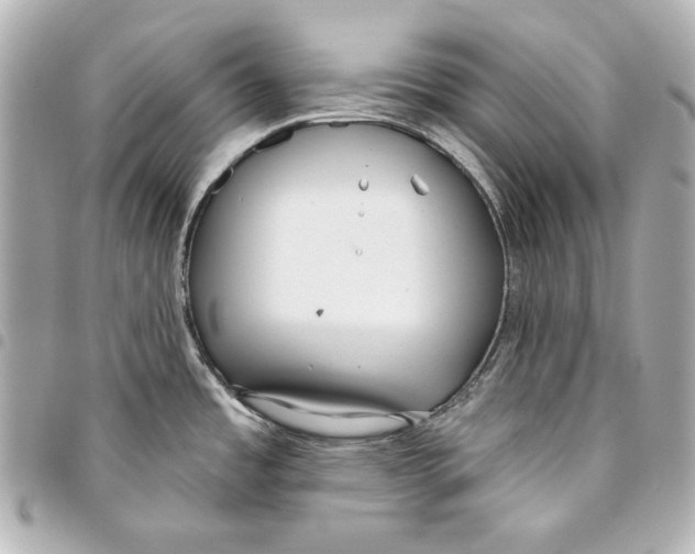 X0000093361485200711081504