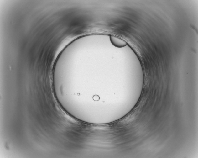 X0000093361486200711081504