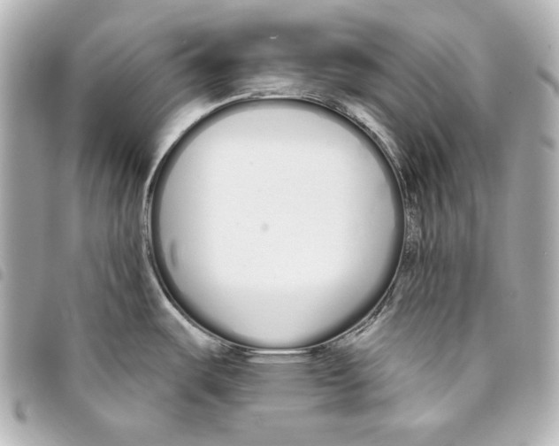 X0000093361487200711081504