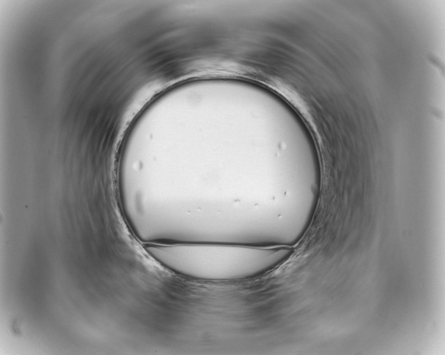 X0000093361488200711081504