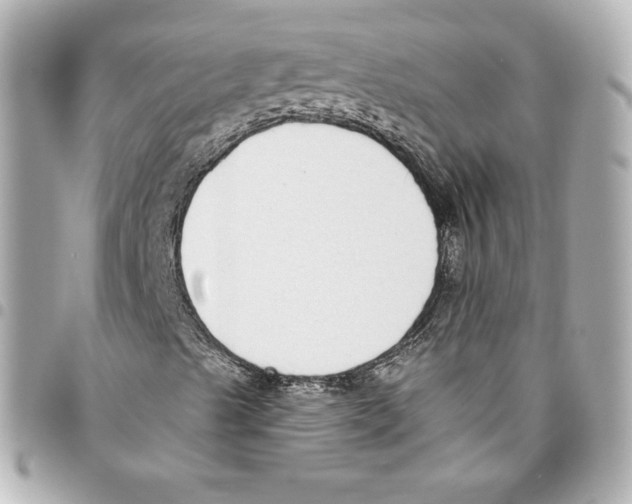 X0000093361489200711081503