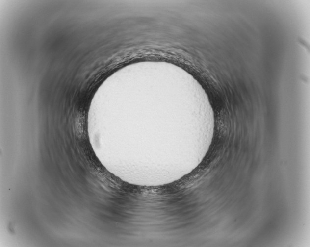 X0000093361490200711081503