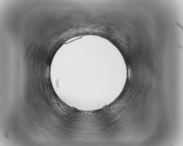 X0000093361492200711081503