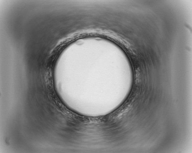 X0000093361494200711081503