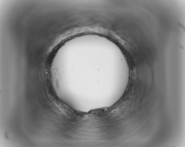 X0000093361496200711081503