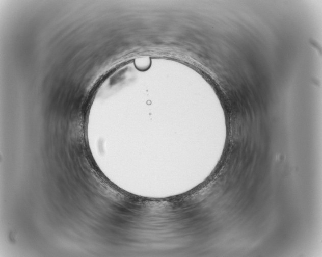 X0000093361498200711081503