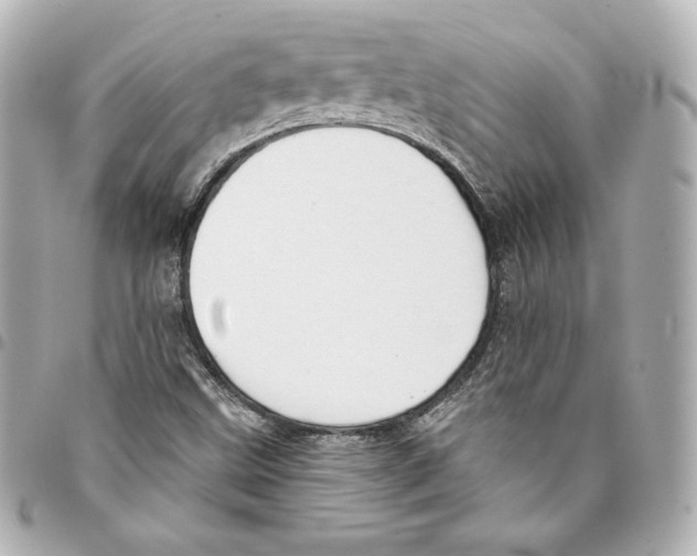 X0000093361499200711081503