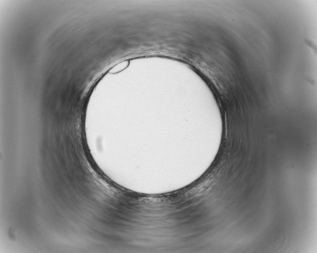 X0000093361500200711081503