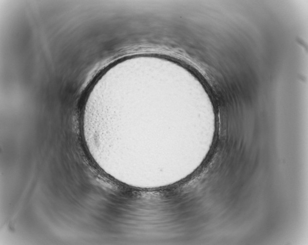 X0000093361501200711081503