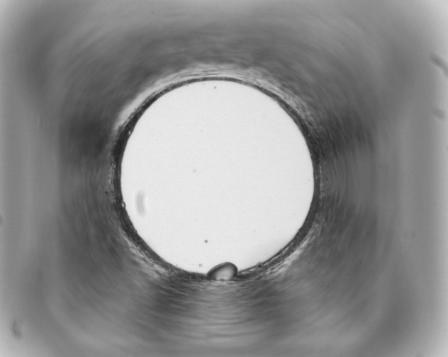 X0000093361502200711081503