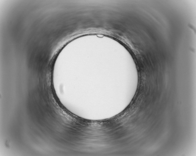 X0000093361504200711081503