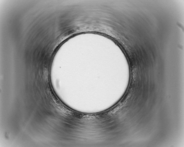 X0000093361505200711081503