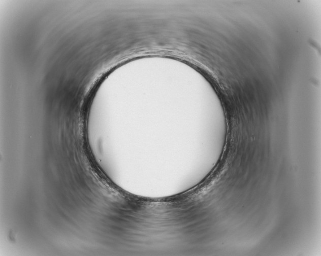 X0000093361506200711081503